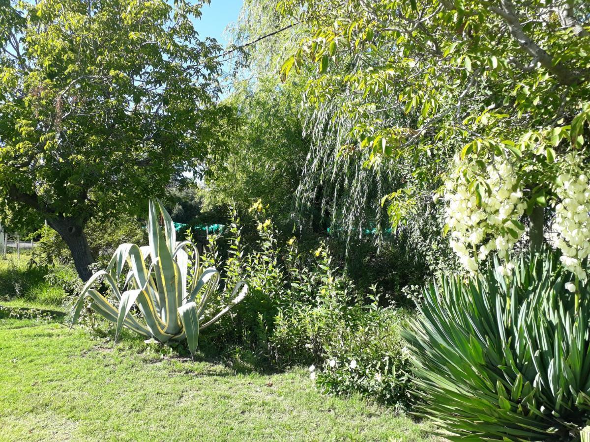 Casa De Campo Las Olivas San Rafael  Exterior foto